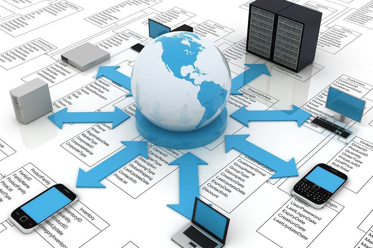 大慶網站建設 精準定位目標用戶，打造高效數字門戶